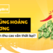 khủng hoảng dương