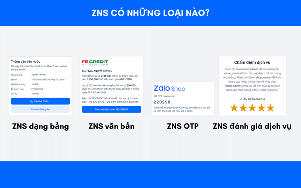 các loại ZNS