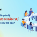 vingroup đã quản lý đào tạo nhân sự như thế nào