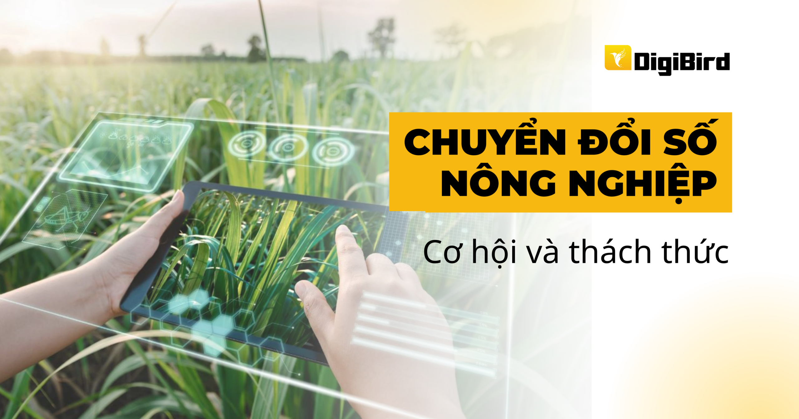 Chuyển đổi số nông nghiệp: Bước ngoặt cho nền nông nghiệp Việt Nam
